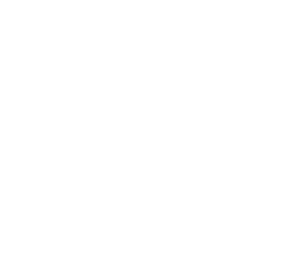 FlyCheapAlways